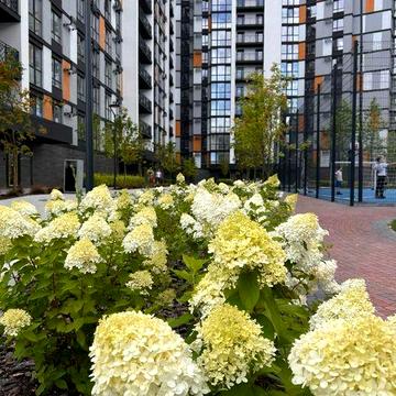 Без комісії,  1к квартира з ремонтом ЖК Атмосфера