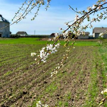 Братківці, Івано-Франківський, Івано-Франківська область 10000.0 USD