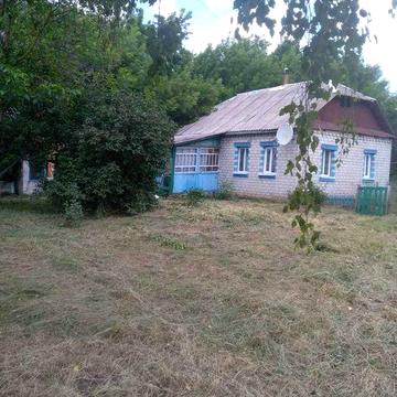 Продам будинок с.Браниця Чернігівська обл. 5500$