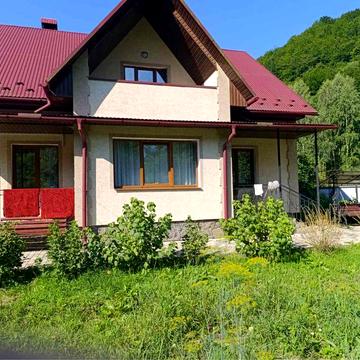 Будинок в Карпатах