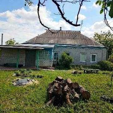 Будинок із господарськими будівлями, садом та 40+ соток землі (с. Фарбоване, кол. Яготинський р-н, Київської обл.)
