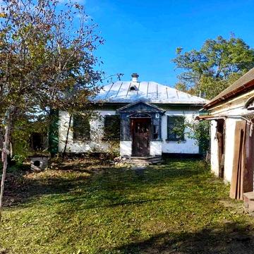 Продам буд. 65 м2 , з газом, зем. діл.- 0,42 га, Оржиця, Полтавська обл.