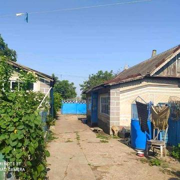 Продаю дом в Троицком 50 соток земли