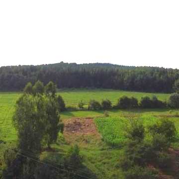 Центральна, 1