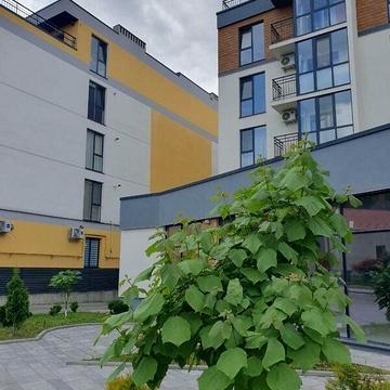 Продаж 2к Квартира Весела вулиця ЖК Затишний