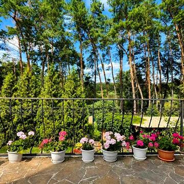 Продаж будинку 200м2 ,10соток , сосновий ліс , річка  30метрів №14164