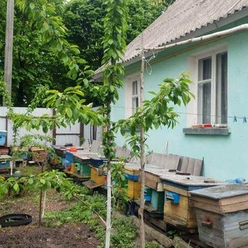 Продаж будинку в центрі міста