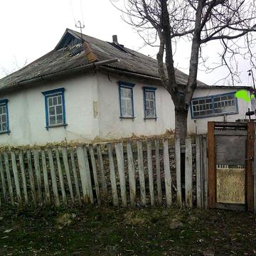 Продається будинок.  Рогізно. 46сотих землі.  Київська обл. Приватизованих. Деревяний, глина.