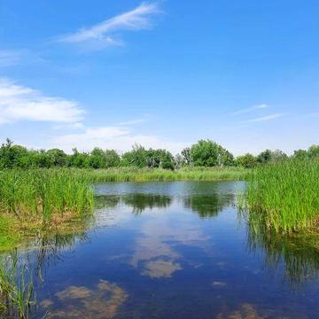 продам будинок в с.Йосипівка