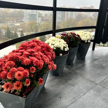 Продається  3-кімнатна  квартира від власника! БЕЗ КОМІСІЇ для покупця!!! ЖК Оболоня