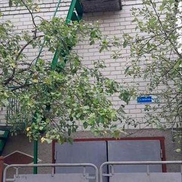 Продам дачу в Березівці