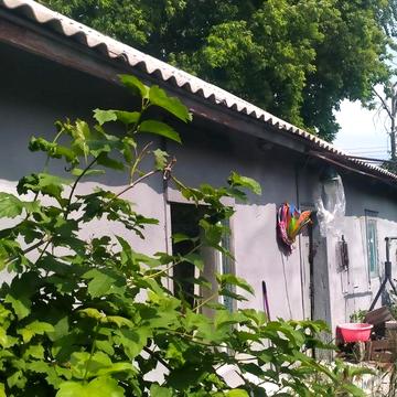 продаю будинок із ділянкою 5 соток.