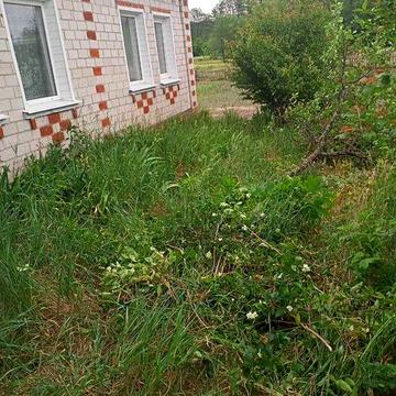 Продається будинок в мальовничому місці на Чернігівщині