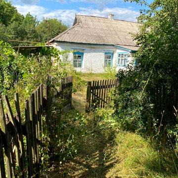 Продам будинок в с.Білоконі