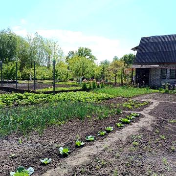 Продається дача СТ "Дніпро-2",вулиця Садова 17