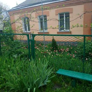 Продається будинок з ділянкою