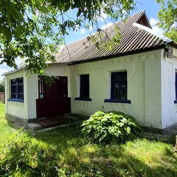 Продається будинок в с. ДМИТРУШКИ