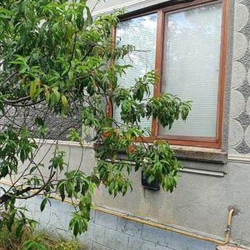 Терміново ! Всі комунікації, гарний стан
