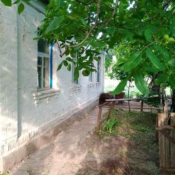 будинок Тараща продаж хата