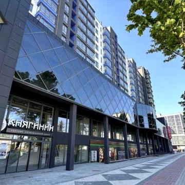 Однокімнатна квартира ЖК Княгинен