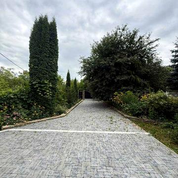 Будинок та земельна ділянка в селі Велика Омеляна вул.Музиківська   160 000