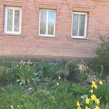 Продам  будинок  з ділянкою