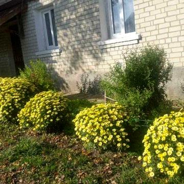 продаж будинку на березі водосховища Рівненська обл. с. Шибин, вул. Заставя