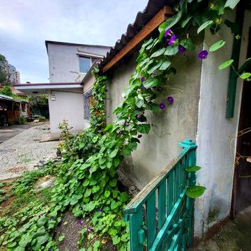Продам 1-кімнатну квартиру на вул. Дальницька / Михайлівська
