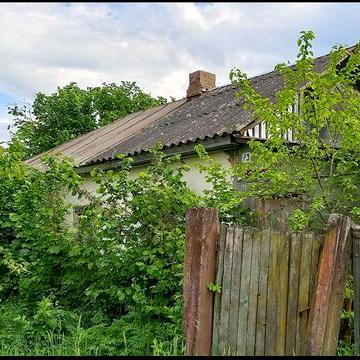 Будинок біля лісу з великою ділянкою землі (80 сот.+50сот)