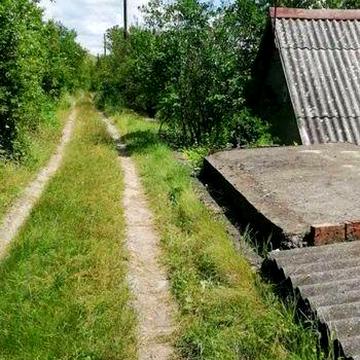 Продам Дачу м. Новодністровськ . Садівництво " Мічурінець  "