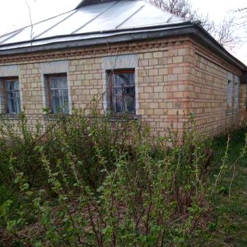 Продам будинок та 2 земельні ділянки в селі Фрузинівка Вишгородського району - тихому мальовничому селі на березі річки Тетерів , біля соснового лісу