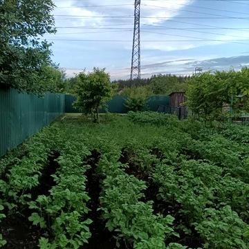 Продам дачу возле Кременчуга