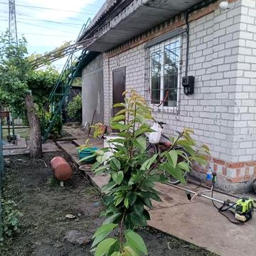 Продам дачу возле Кременчуга