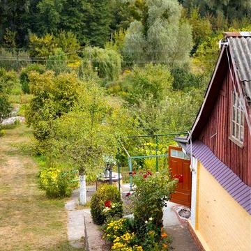 Здам дачу. Свіже повітря, велика територія, ліс навкруги