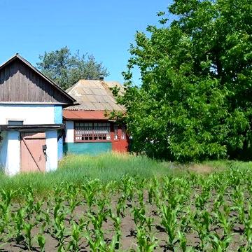 Продам батьківський будинок