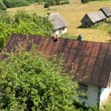 Будинок хутір біля Полиць