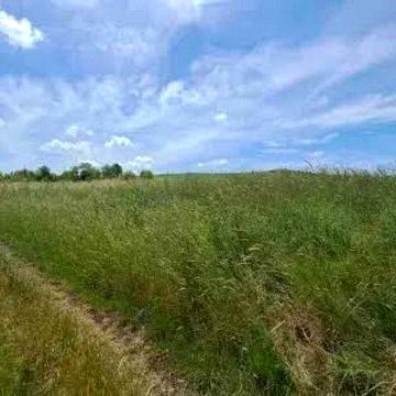 Продаж дачного будинку із земельною ділянкою у с. Бірки ( Брюховичі)