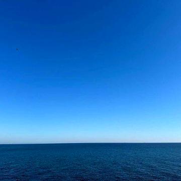 1-комнатная квартира с ремонтом у моря Аркадия Прямой вид моря Одесса