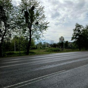 Продаю будинок який знаходиться в 10 км від міста Луцька