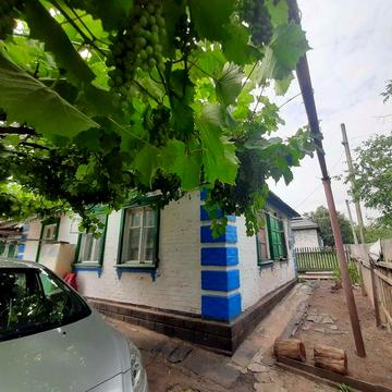 Приватний будинок Олександрія