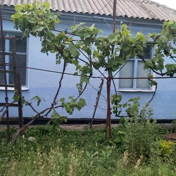 Будинок с.Зелена Поляна