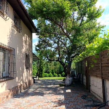 Продам будинок-дачу на першій лінії від річки Дніпро,  Сажівка / Старі Кодаки, 6 км до ж/м  Перемога