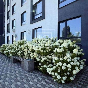 Продаж 1 кімнатної квартири в Гостомелі, мінімальне оформлення