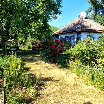 Продам будинок в центрі села