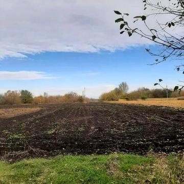 Продаж будинку, Київська обл, Мала Супоївка з ділянкою 0,5497 Га