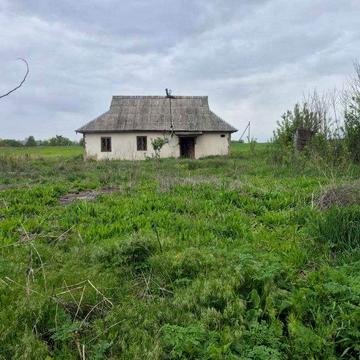 Продам будинок з ділянкою 25 соток у с. Великі Гуляки (Київська обл.)