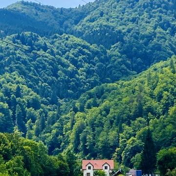 Оренда будинку довгостроково в Карпатах