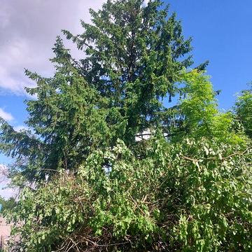 Продаж 2к Дім Мигринівка (Горького) вулиця