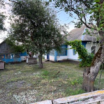 Продам житловий будинок с.Бакай Решетилівського району (3 км від траси Київ-Харків), 10 км від м. Решетилівка