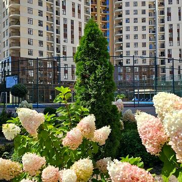 Продаж 2к Квартира Краснова вулиця ЖК Kadorr City